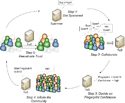 Process Flow of the Trust Evaluation System